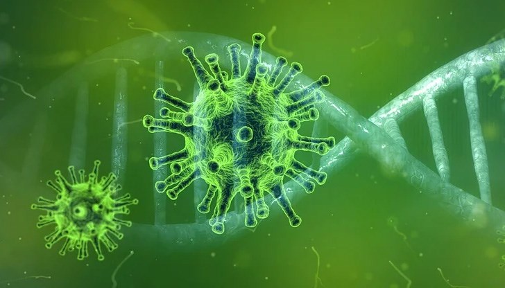 5 души са починали за последното денонощие 5 души са починали за последното денонощие