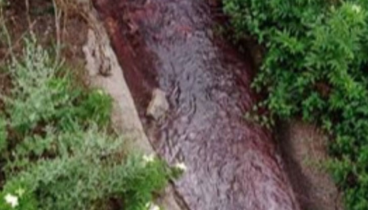 Незабавната проверка на експертите сочи наличие на утайки с оранжева цветност по руслото на дерето след изхода на канализацията на града