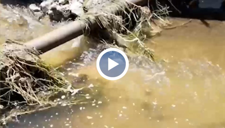 Живеем върху септична бомба, твърдят те