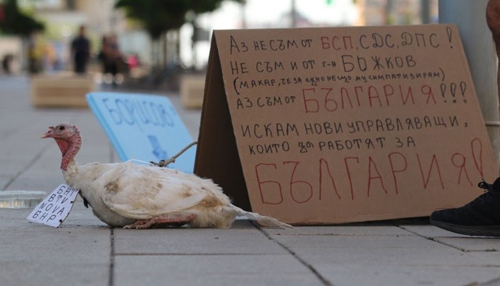 Протестиращите донесоха мисирка на площад "Независимост"