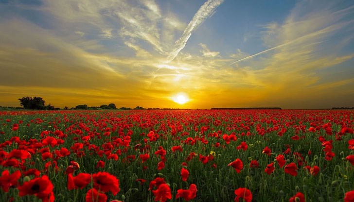 Сутринта ще е хладно, а максималните температури след обяд ще са между 24° и 29° Сутринта ще е хладно, а максималните температури след обяд ще са между 24° и 29°