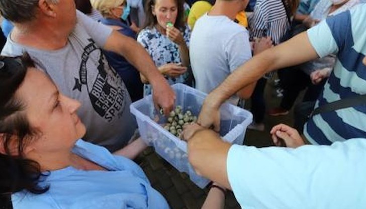 Яйцата бяха раздавани от инициаторите на недоволството Яйцата бяха раздавани от инициаторите на недоволството