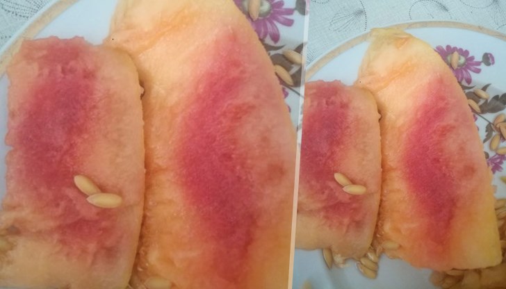 Русенка е изненадана от колорита на закупения пъпеш от Лидъл Русенка е изненадана от колорита на закупения пъпеш от Лидъл