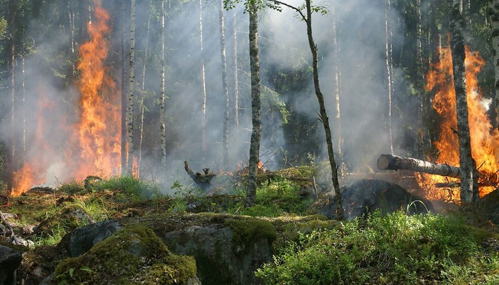 Екипите на пожарна безопасност са на място и пожарите вече са били овладени. Техника и екипи на огнеборците са останали на място, за да следят ситуацията