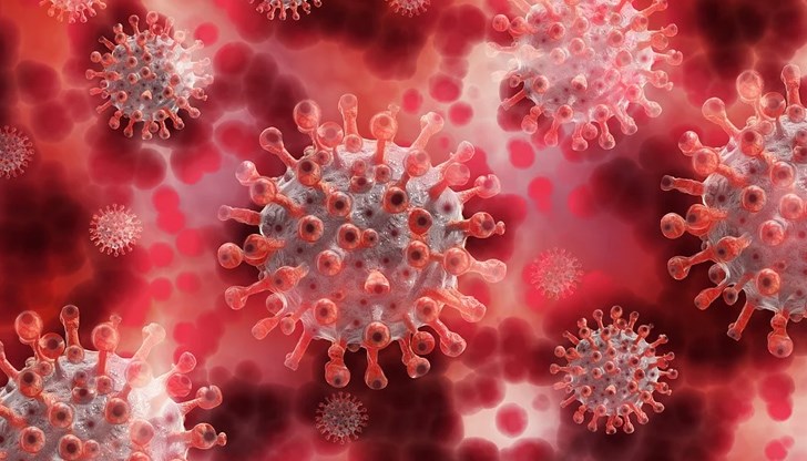 В общината е създаден и експертен екип от двама лекари и един медицински техник