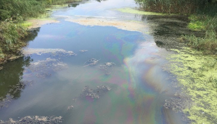 Превишенията по показателите са: азот нитритен - около 358 пъти, азот нитратен - около 10 пъти, амониев азот - около 2 пъти и електропроводимост - около 2 пъти, както и превишение на показателя Химично потребление на кислород - около 2,2 пъти Превишенията по показателите са: азот нитритен - около 358 пъти, азот нитратен - около 10 пъти, амониев азот - около 2 пъти и електропроводимост - около 2 пъти, както и превишение на показателя Химично потребление на кислород - около 2,2 пъти