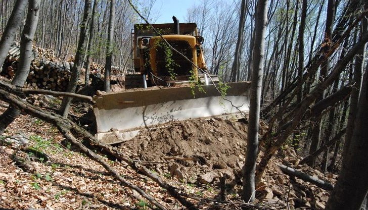 205 багера на територията на цялата страна са работили всеки ден без почивка в горите 205 багера на територията на цялата страна са работили всеки ден без почивка в горите