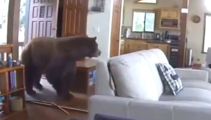 Моментът е записан от камерите в дома Моментът е записан от камерите в дома