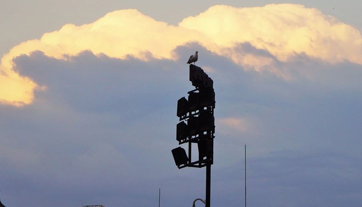 Това ще бъде четвъртото заседание на комисията Това ще бъде четвъртото заседание на комисията