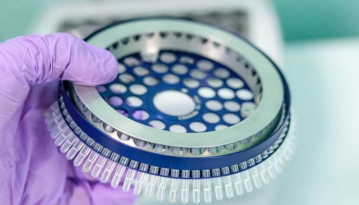 Това заяви директорът на Касата