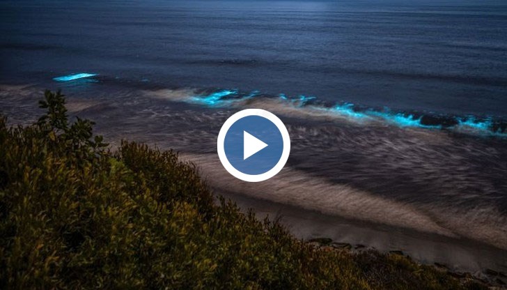 По бреговете на Тихия океан и на други големи водни басейни на Земята често може да се види синьо сияние по гребена на вълните нощем през пролетните и летните месеци
