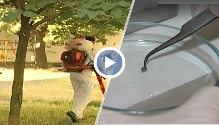 Много хора вече са пострадали от тях