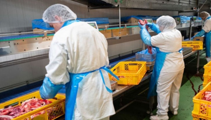 Производството ще продължи работа след обстойно почистване на производствените помещения и дезинфекция Производството ще продължи работа след обстойно почистване на производствените помещения и дезинфекция