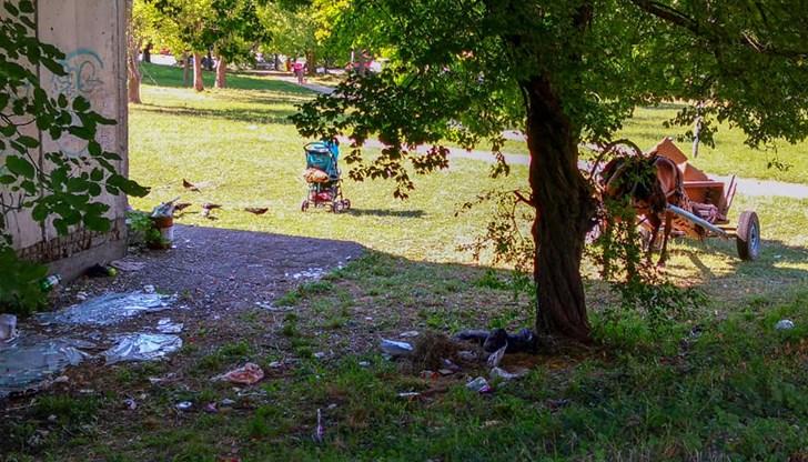 Ромите, заедно с конете и каруците, превръщат красивата градинка в сметище