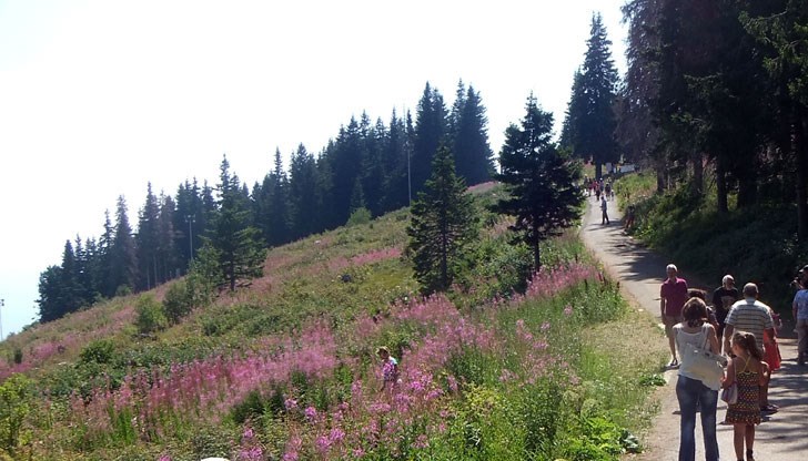 С реституцията и приватизацията голяма част от постройките на Витоша, които дотогава имаха публични функции, стават собственост на търговски дружества, които нямат задължения да поддържат тези публични функции