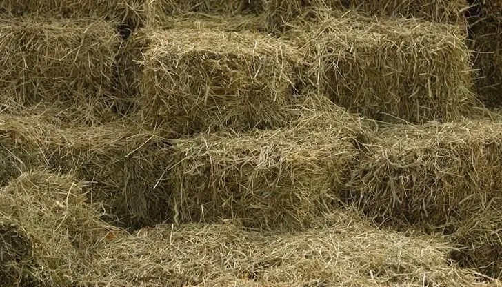 Пожарът е възникнал в имот на улица "Христо Македонски"