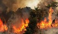 Висок риск от пожари в половин България