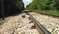 Извънредна проверка за загинали щъркели на жп линията Русе - Варна