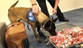 Полицейско куче надуши четвърт милион евро на летище