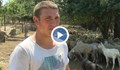 Младежи пасат овце през ваканцията, вместо да ходят по заведения