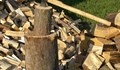 Разследват възрастен мъж в Кривня за незаконно съхраняване на дърва за огрев