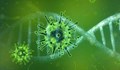 Силната имунна система пречи на лечението от коронавирус