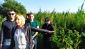 Мая Манолова показа плантация с марихуана до околовръстното на София