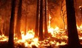 Опасност от пожари в 14 области на страната