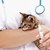 Лекарство за котки блокира размножаването на коронавируса у хората
