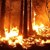 Голям пожар бушува в Любимец
