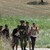 Задържаха 11 нелегални мигранти край Вакарел