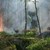 Чушкопек в блок "Чайковски" вдигна пожарникарите на крак
