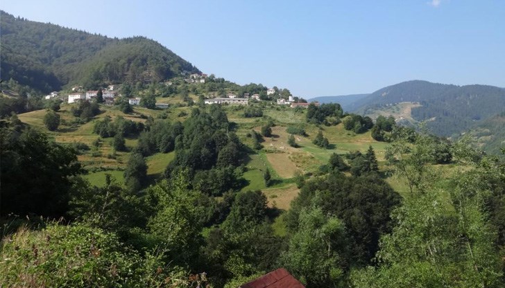 През последното денонощие са потвърдени още три случая