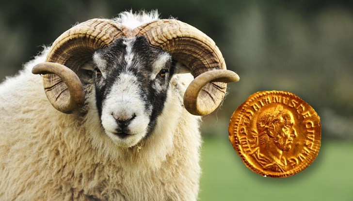 Срещу римския златен ауреус е написано, че това е стомахът на овен, колкото и смешно да звучи