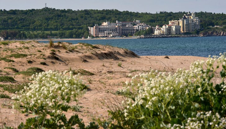 Дюните имат буферна роля за намаляване на морската абразия към сушата