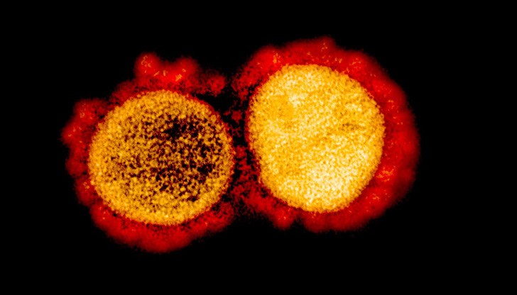 Счита се, че това е мутация на SARS-CoV-2