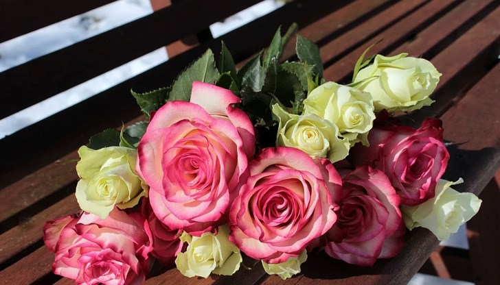 1805 жени в Русенско носят името Мария 1805 жени в Русенско носят името Мария