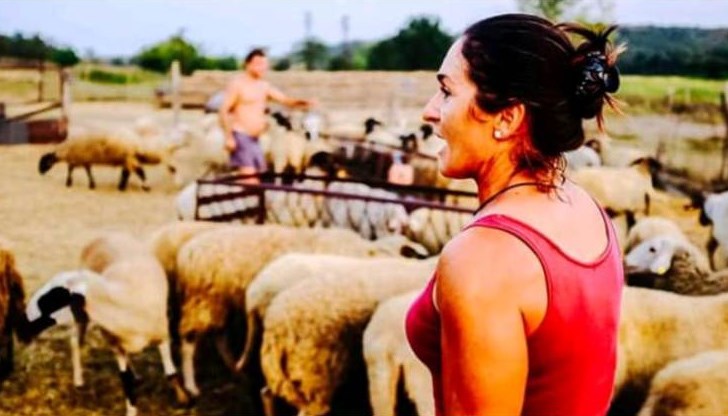 Агроминистерството пак иска смърт за овцете в Болярово