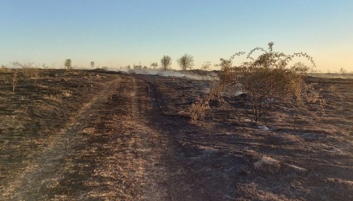 1000 декара треви и храсти изгоряха до Щръклево, като пламъците приближиха и част от къщите на селото