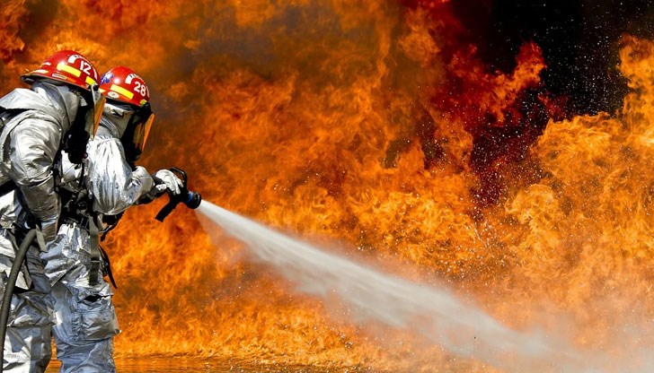 Пожарникарите успяват да  спасят 100 декара царевица