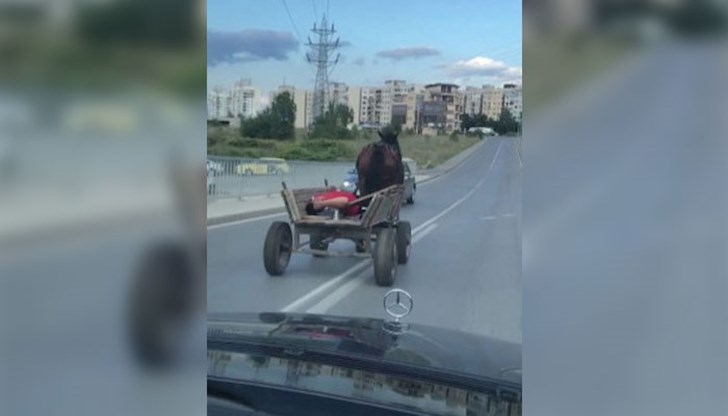 Конска каруца, оставена на автопилот, навлезе в насрещното