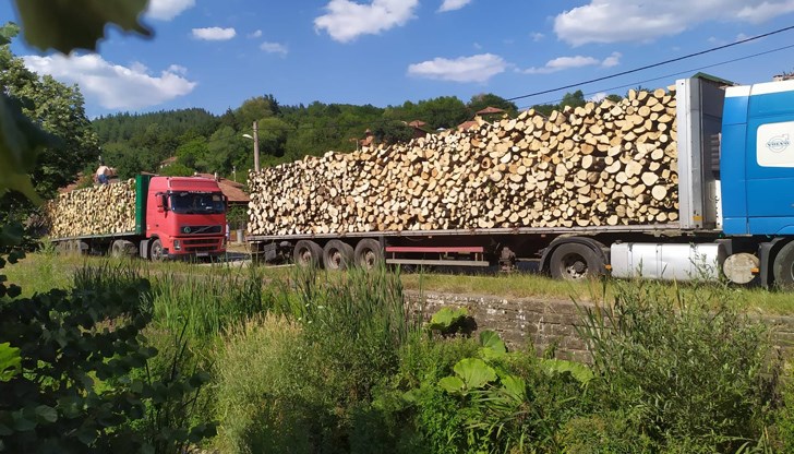 Луда Камчия е почти пресъхнала - нещо, което никога не се е случвало, дори и в най-сухите години Луда Камчия е почти пресъхнала - нещо, което никога не се е случвало, дори и в най-сухите години