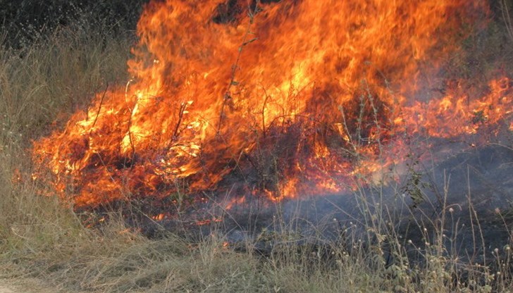 Пожарникари едва спряха огъня пред вратите на няколко от близките къщи