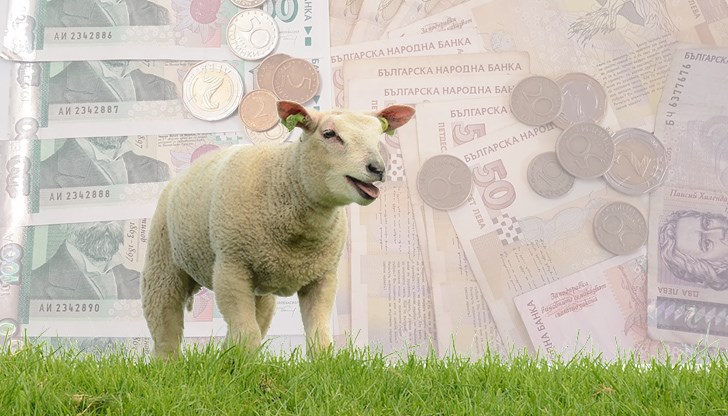 В сметките не влизат “виртуалните” крави и пчели, за които няма данни В сметките не влизат “виртуалните” крави и пчели, за които няма данни