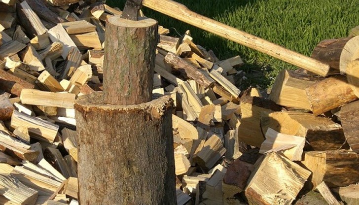 77-годишният жител на селото имал един кубик дървесина в дома си, собственост на "Ветовска гора"