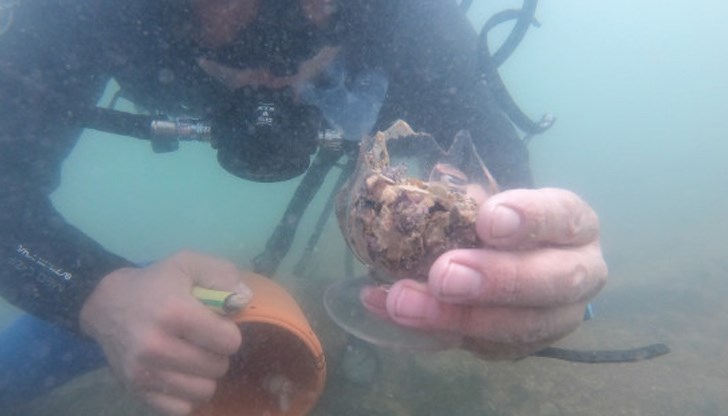 Изследват място на предполагаемо корабокрушение от XVIII-XIX век