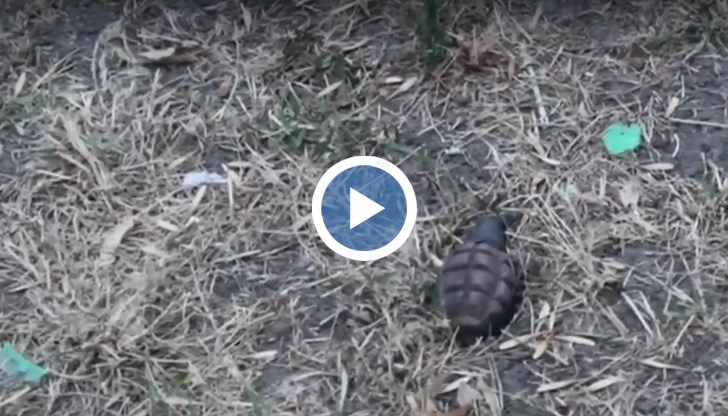 Районът е отцепен