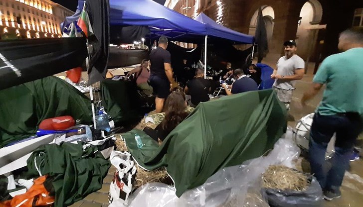 Нужни са около 5 порции всеки ден