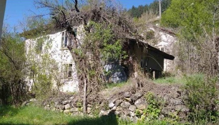 Доброто съществува!