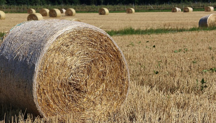 300 бали сено изчезнали от имота на 38-годишен мъж в село Желязковец